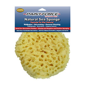 PAINT-FORCE #65 NATURAL SEA SPONGE 77771
