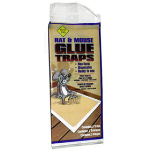 CATCHMASTER 24-60 RAT GLUE BOARDS 2-PACK